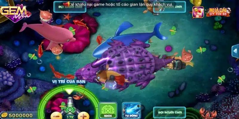 Mẹo bắn cá hải vương bất bại tại Mayclub